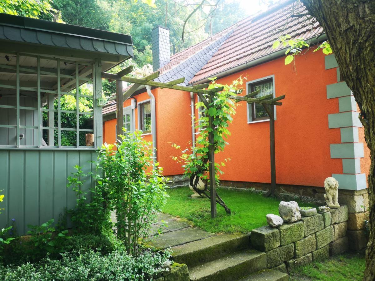 Ferienhaus Franz - An Der Elbe, Mit Grossem Garten Pirna Exterior photo